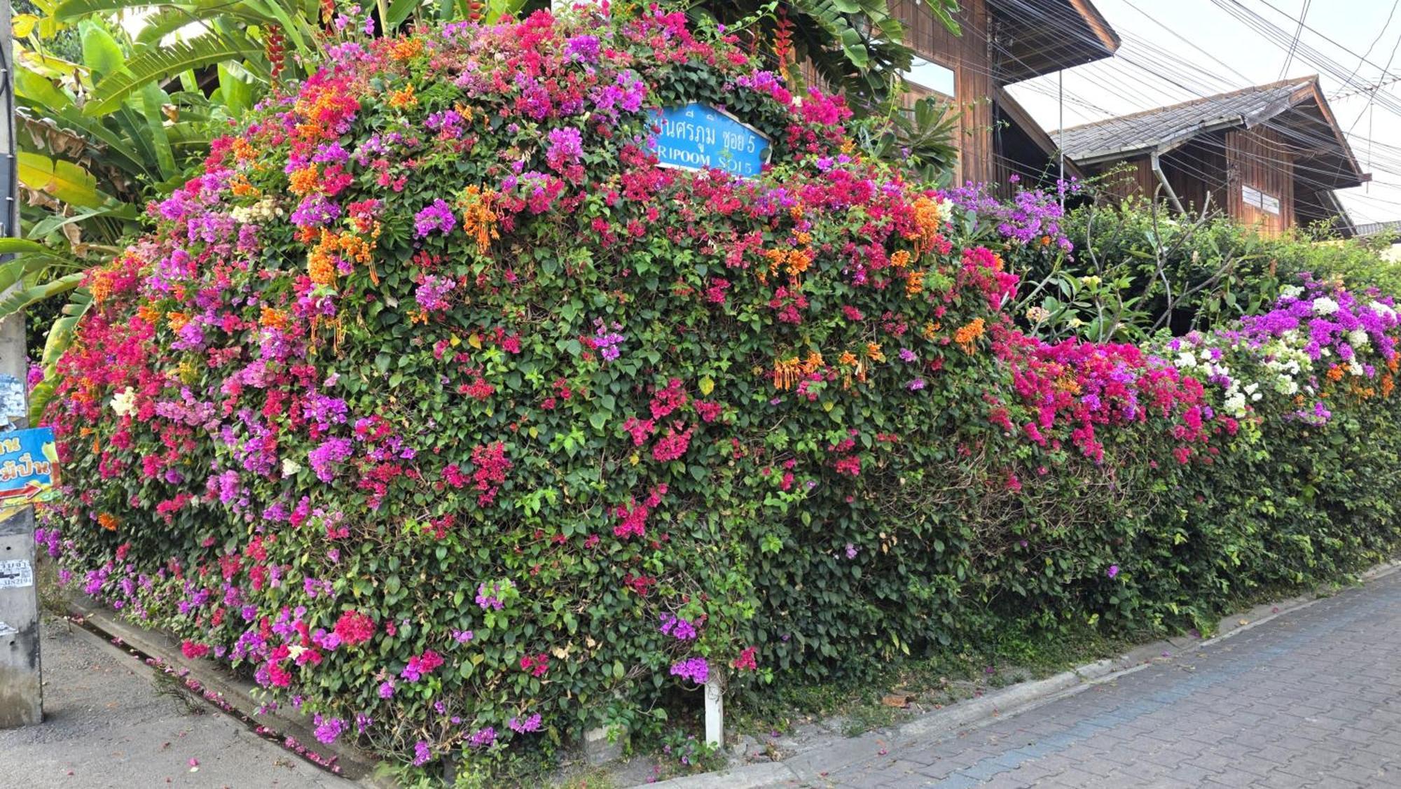 צ'יאנג מאי Siriwan Hostel מראה חיצוני תמונה